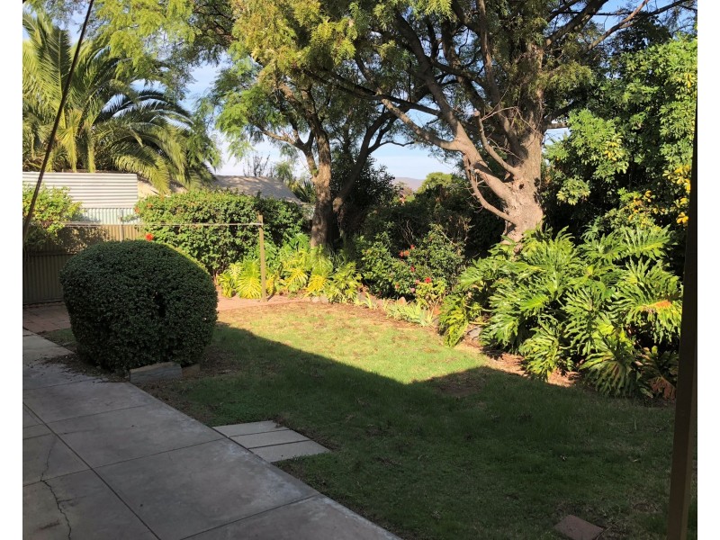 9 Brigalow Avenue, Modbury SA 5092