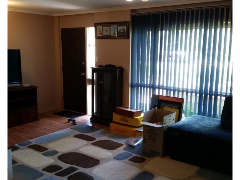 29 Kurrajong Street, Surrey Downs SA 5126