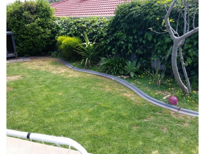 29 Kurrajong Street, Surrey Downs SA 5126