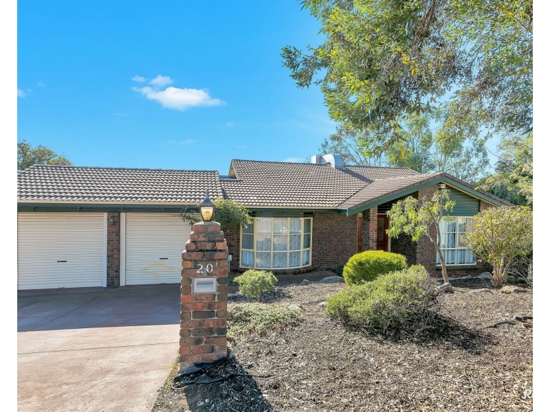 20 Ystwyth Court, Modbury Heights SA 5092
