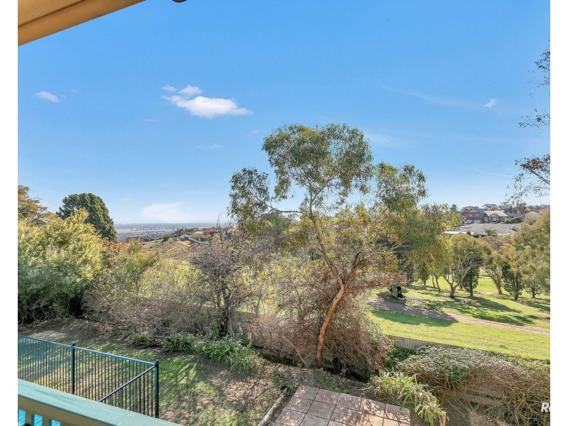 20 Ystwyth Court, Modbury Heights SA 5092