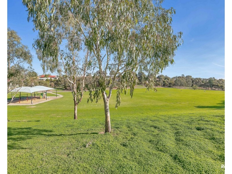 20 Ystwyth Court, Modbury Heights SA 5092