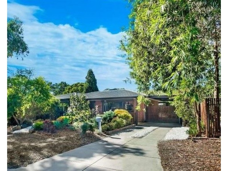 55 Jocelyn Avenue, Surrey Downs SA 5126