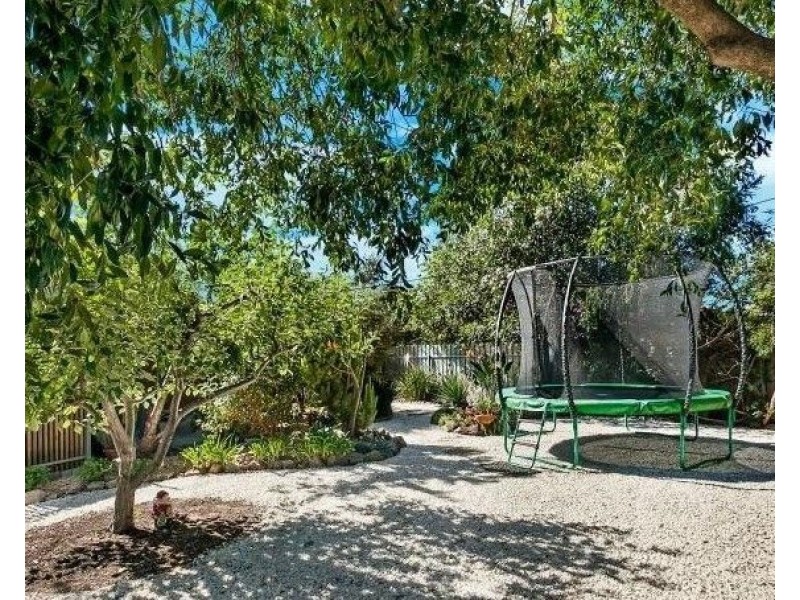 55 Jocelyn Avenue, Surrey Downs SA 5126