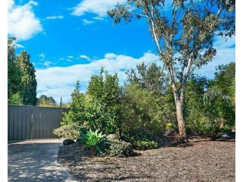 55 Jocelyn Avenue, Surrey Downs SA 5126