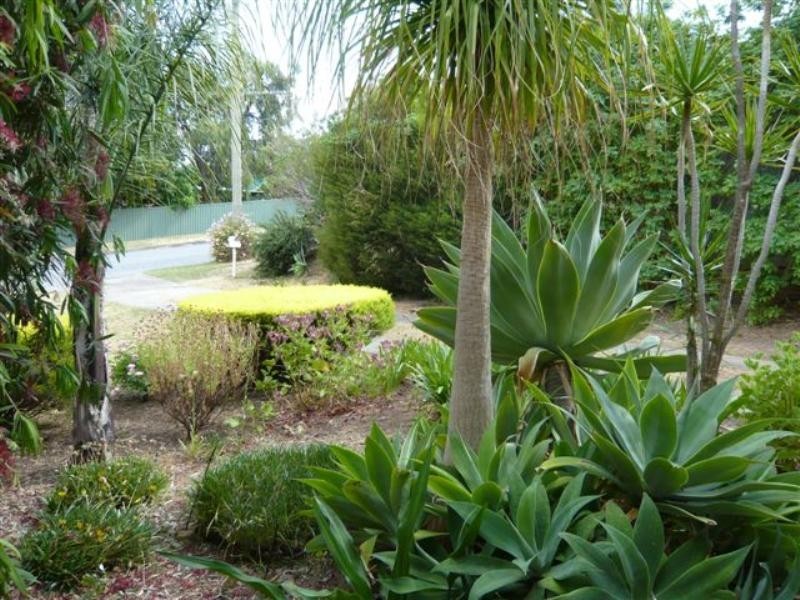 3 Colton Avenue, Highbury SA 5089