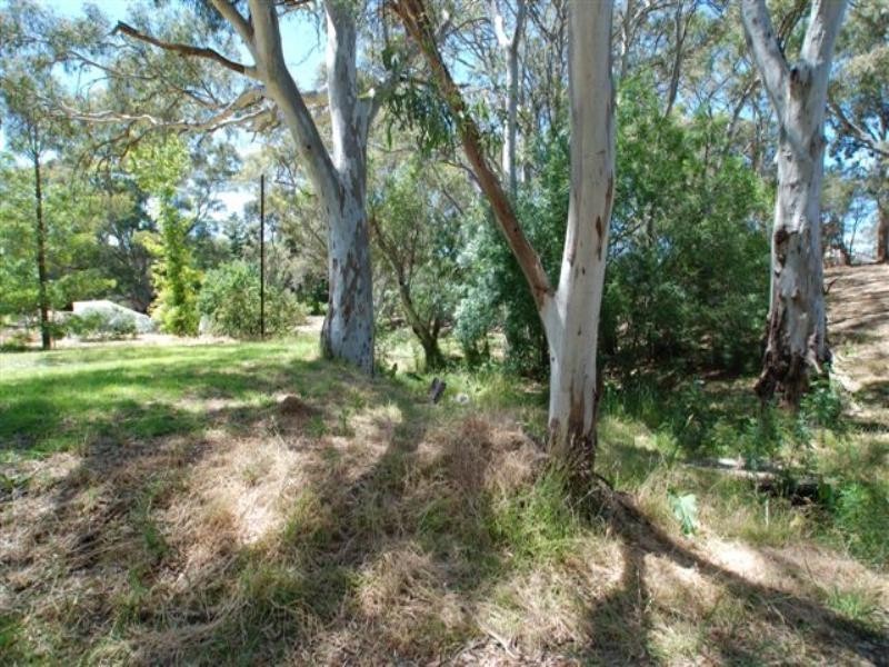 Lot 53 Frank Street, Vista SA 5091