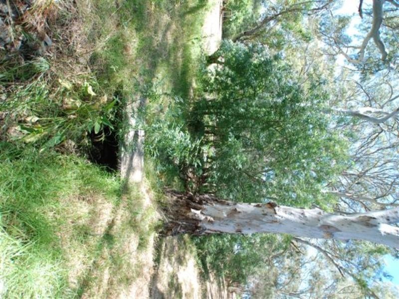 Lot 53 Frank Street, Vista SA 5091