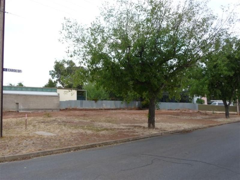 Lt 100 and 101 Williamson Road, Para Hills SA 5096