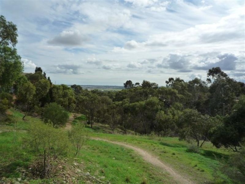 14 Glenarbon Court, Para Hills SA 5096