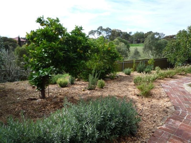 14 Glenarbon Court, Para Hills SA 5096