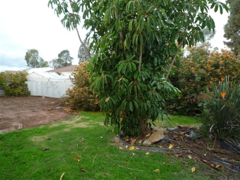 3 Peony Court, Parafield Gardens SA 5107