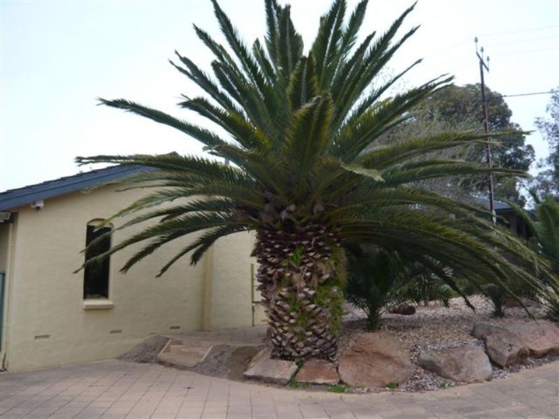 89 Hamilton Road, Fairview Park SA 5126