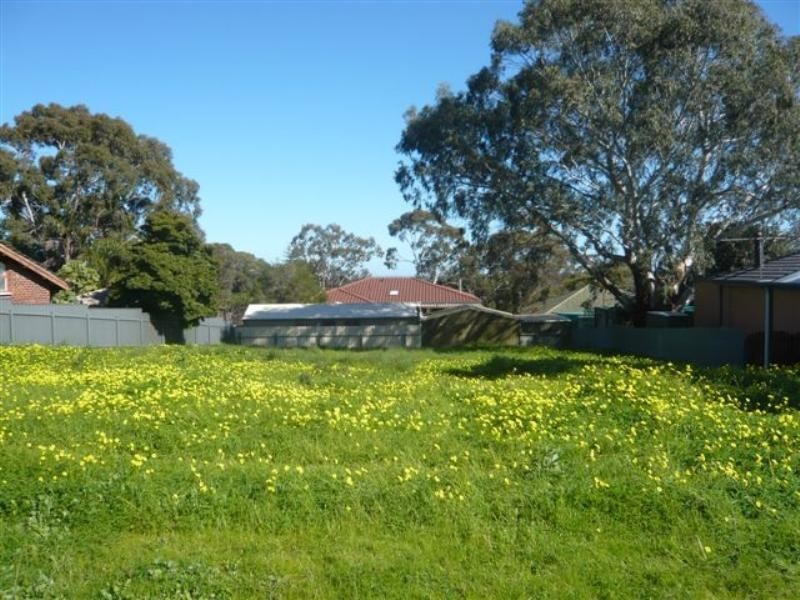 30 Waitara Road, Banksia Park SA 5091