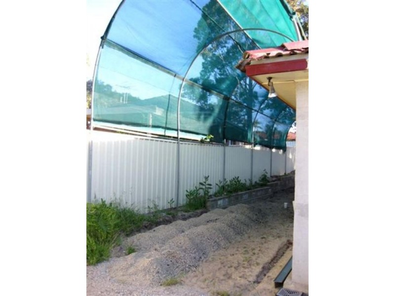 1 Alpha Street, Banksia Park SA 5091