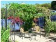 13 Faehse Street, Modbury SA 5092