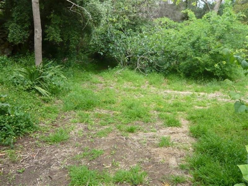 24A Perseverance Road, Tea Tree Gully SA 5091