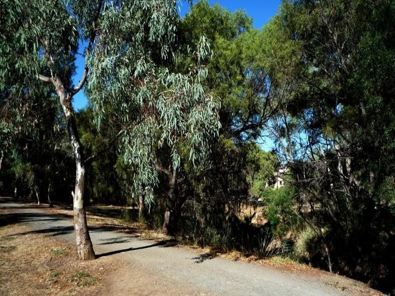52 Down Drive, Valley View SA 5093