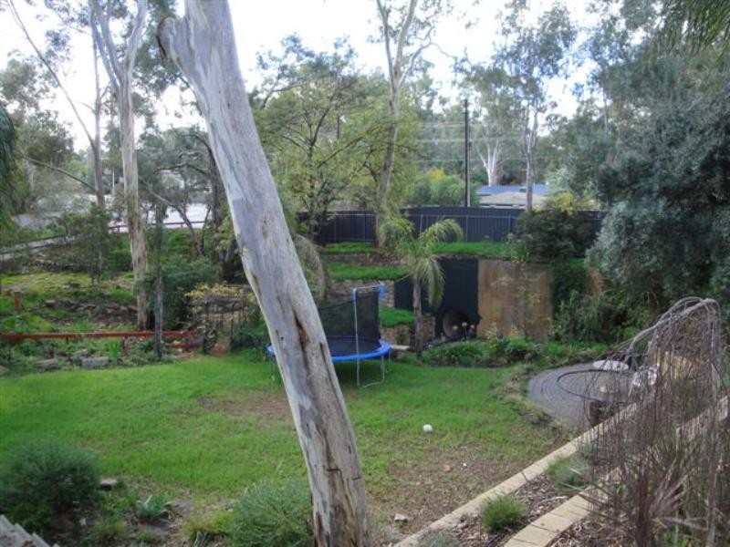 19 Lincoln Drive, Redwood Park SA 5097