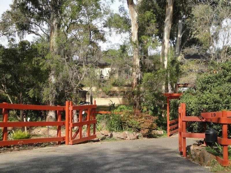 19 Lincoln Drive, Redwood Park SA 5097