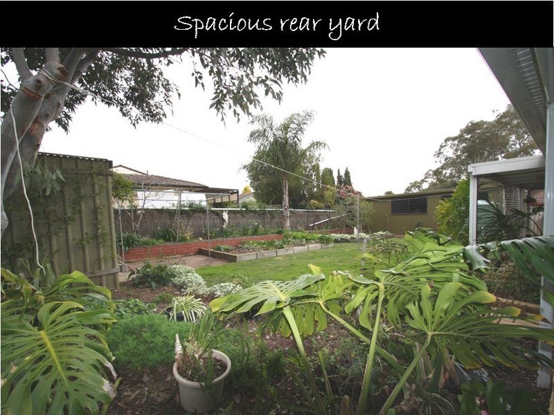 13 La Perouse Crescent, Fairview Park SA 5126