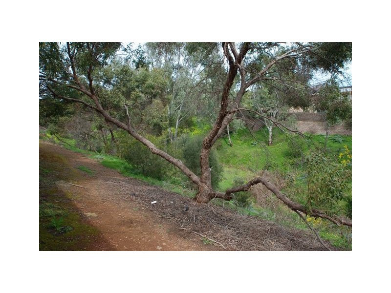 Unit 7, 25 St. Just Court, Golden Grove SA 5125