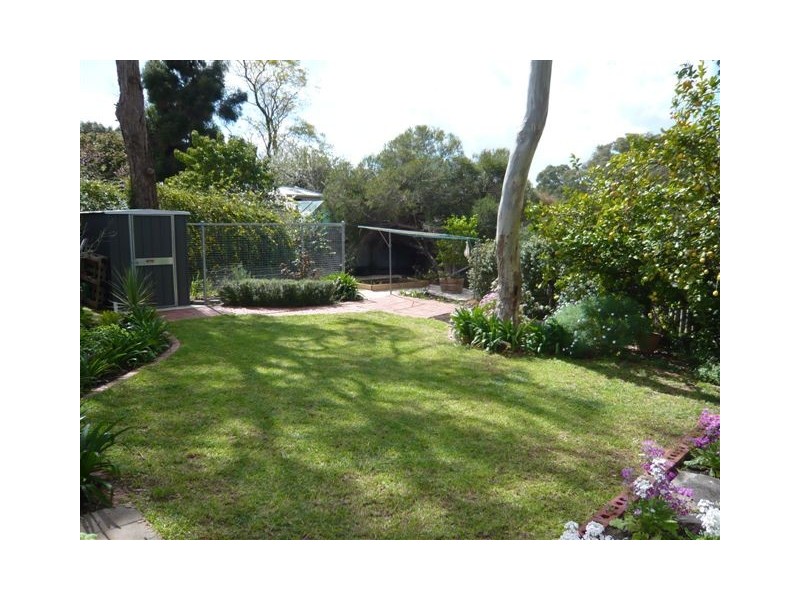 297 Hancock Road, Banksia Park SA 5091