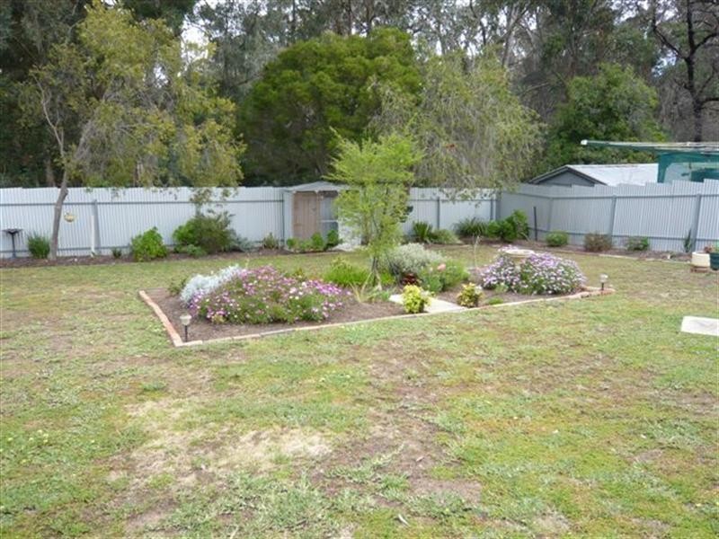 18 School Drive, Banksia Park SA 5091