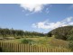 26 Milperra Avenue, Banksia Park SA 5091
