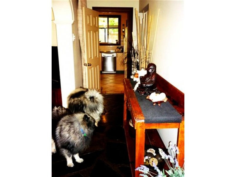 9 Bowen Road, Tea Tree Gully SA 5091