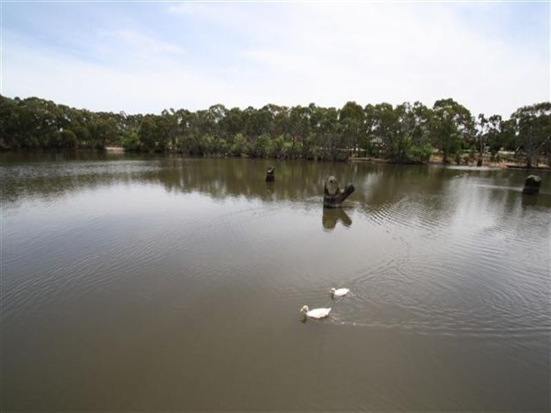 46 Park Lake Drive, Wynn Vale SA 5127