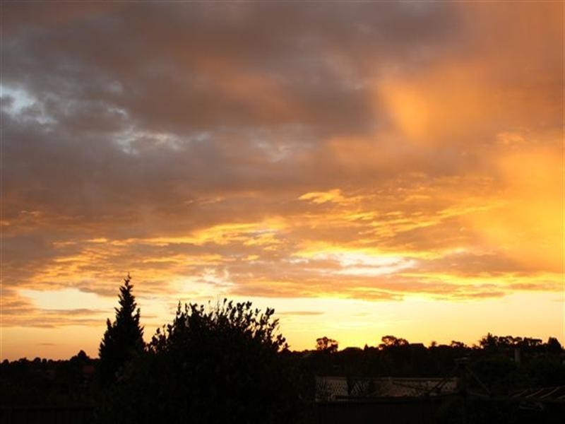 14 Moorhen Place, Wynn Vale SA 5127