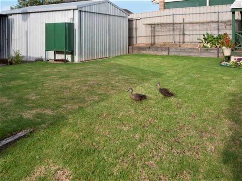 18 Yutara Avenue, Ingle Farm SA 5098