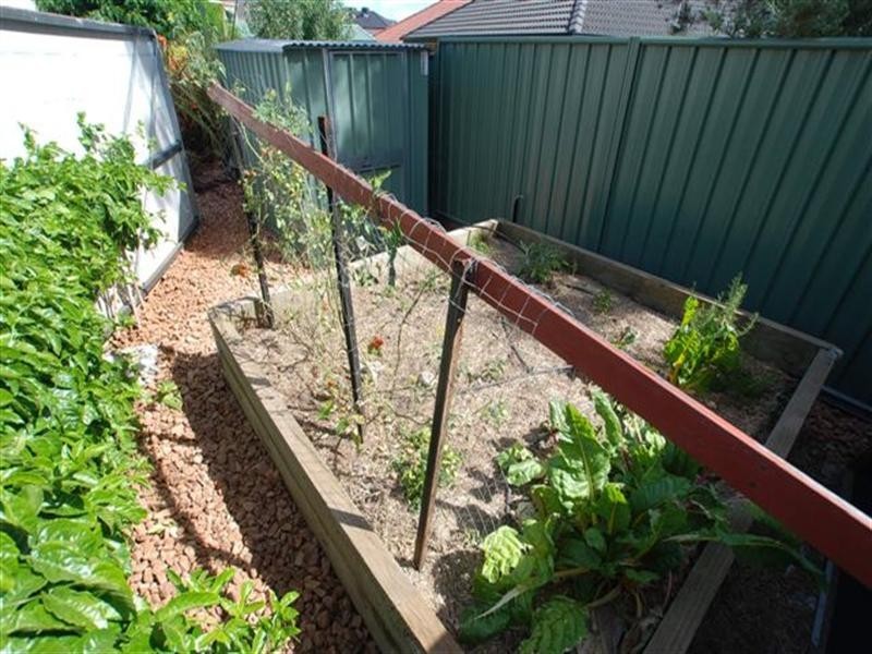 340 Mawson Lakes Boulevard, Mawson Lakes SA 5095