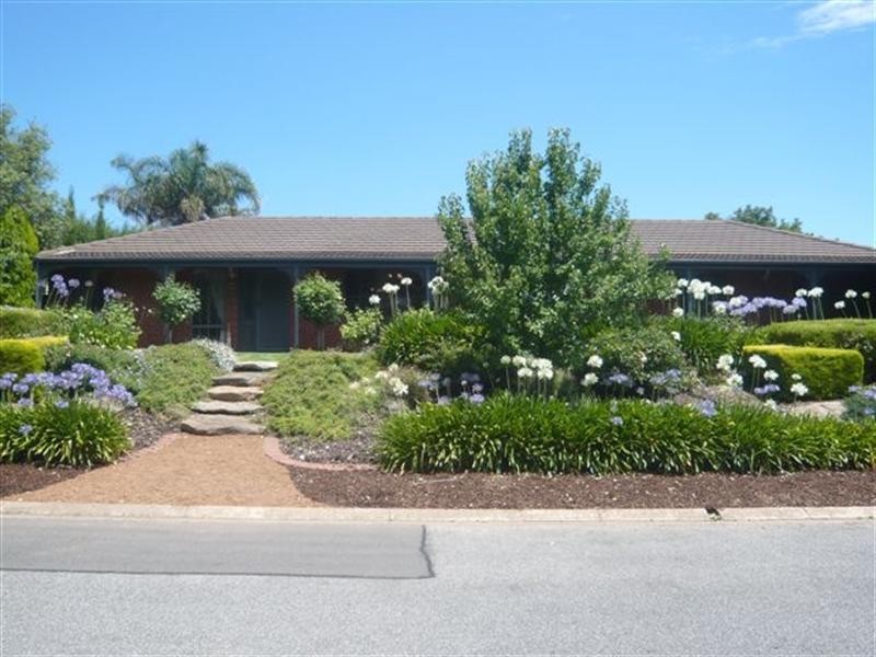 19 Anare Street, Greenwith SA 5125