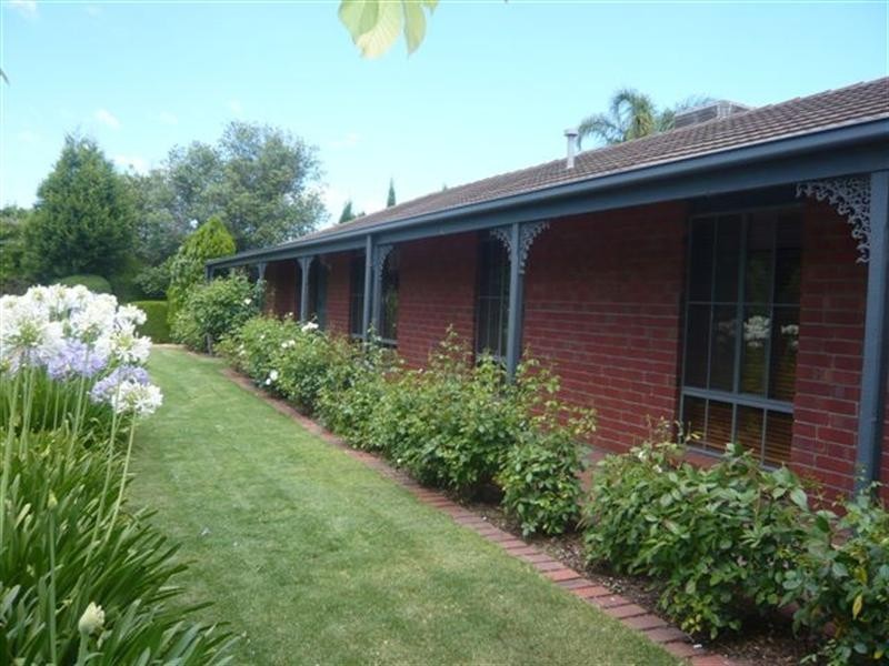 19 Anare Street, Greenwith SA 5125