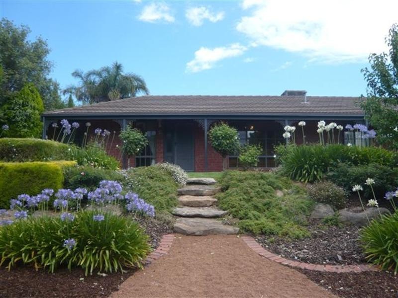 19 Anare Street, Greenwith SA 5125