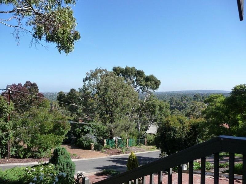 52 Wattle Cresent, Tea Tree Gully SA 5091