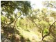 40 Graham Street, Para Hills SA 5096