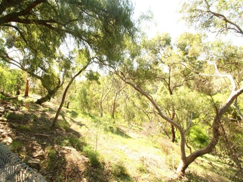 40 Graham Street, Para Hills SA 5096