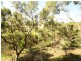40 Graham Street, Para Hills SA 5096