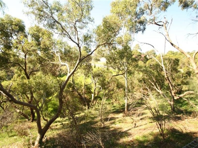 40 Graham Street, Para Hills SA 5096