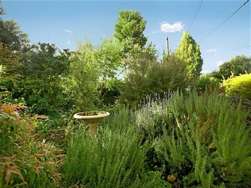 6 William Street, Tea Tree Gully SA 5091