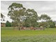 12 Pardoo Drive, Modbury SA 5092