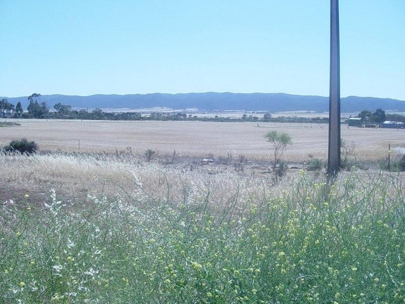 507, 508, 510 Abattoirs Road, Warnertown SA 5540