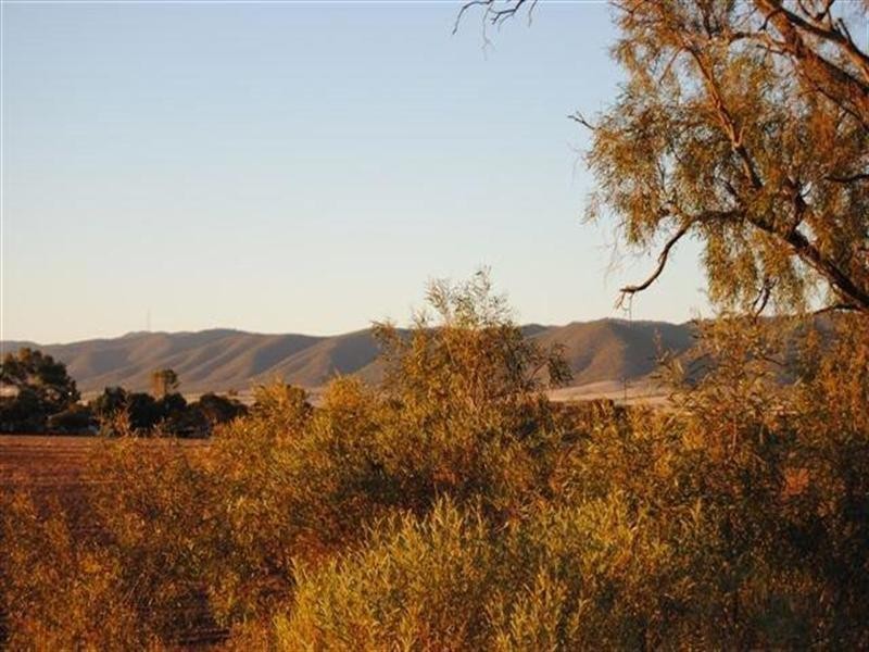 507, 508, 510 Abattoirs Road, Warnertown SA 5540