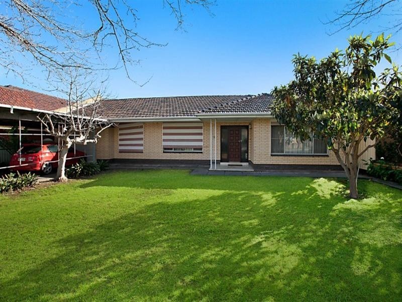 56 White Avenue, Lockleys SA 5032