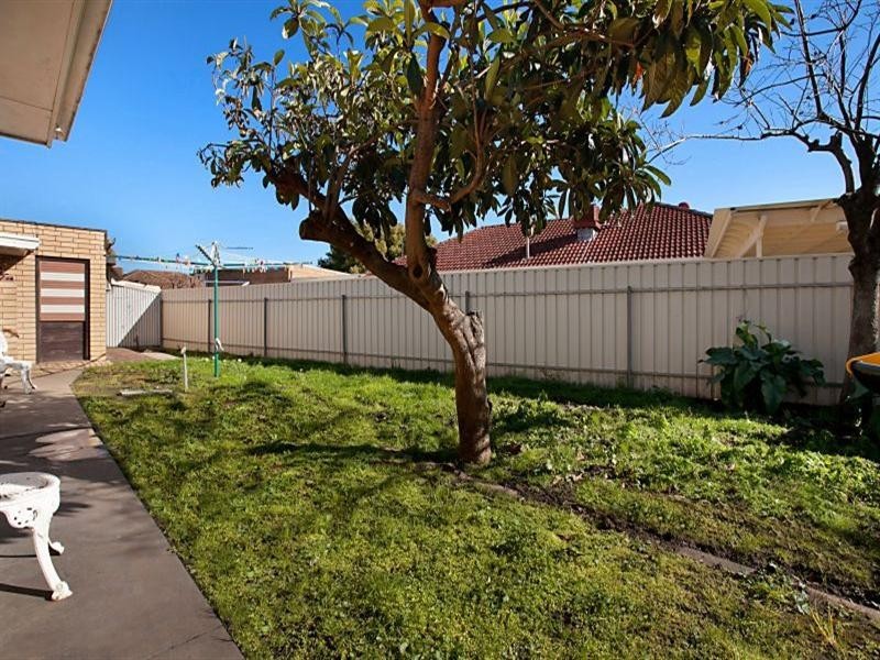 56 White Avenue, Lockleys SA 5032