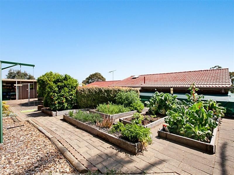 23 Musgrave Avenue, Banksia Park SA 5091