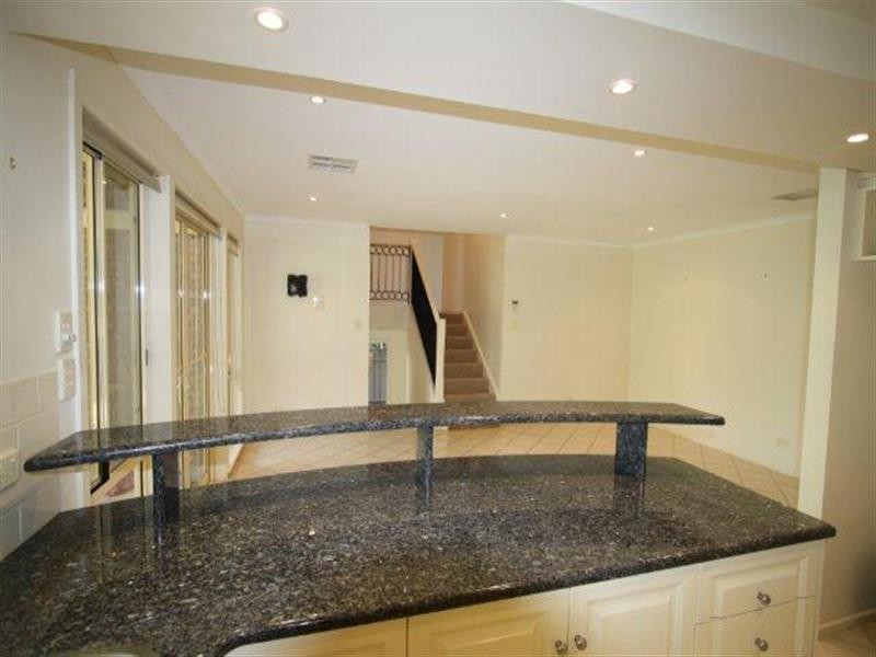 24 Williamson Terrace, Greenwith SA 5125